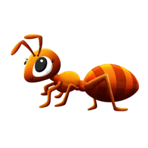 ant
