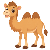 camel