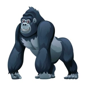 gorilla