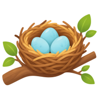 nest