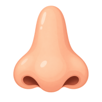 nose